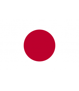 Japanese Karaoke Machine